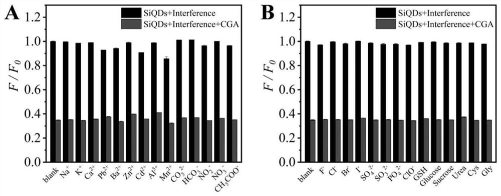 Silicon quantum dots for detecting chlorogenic acid and method for detecting chlorogenic acid