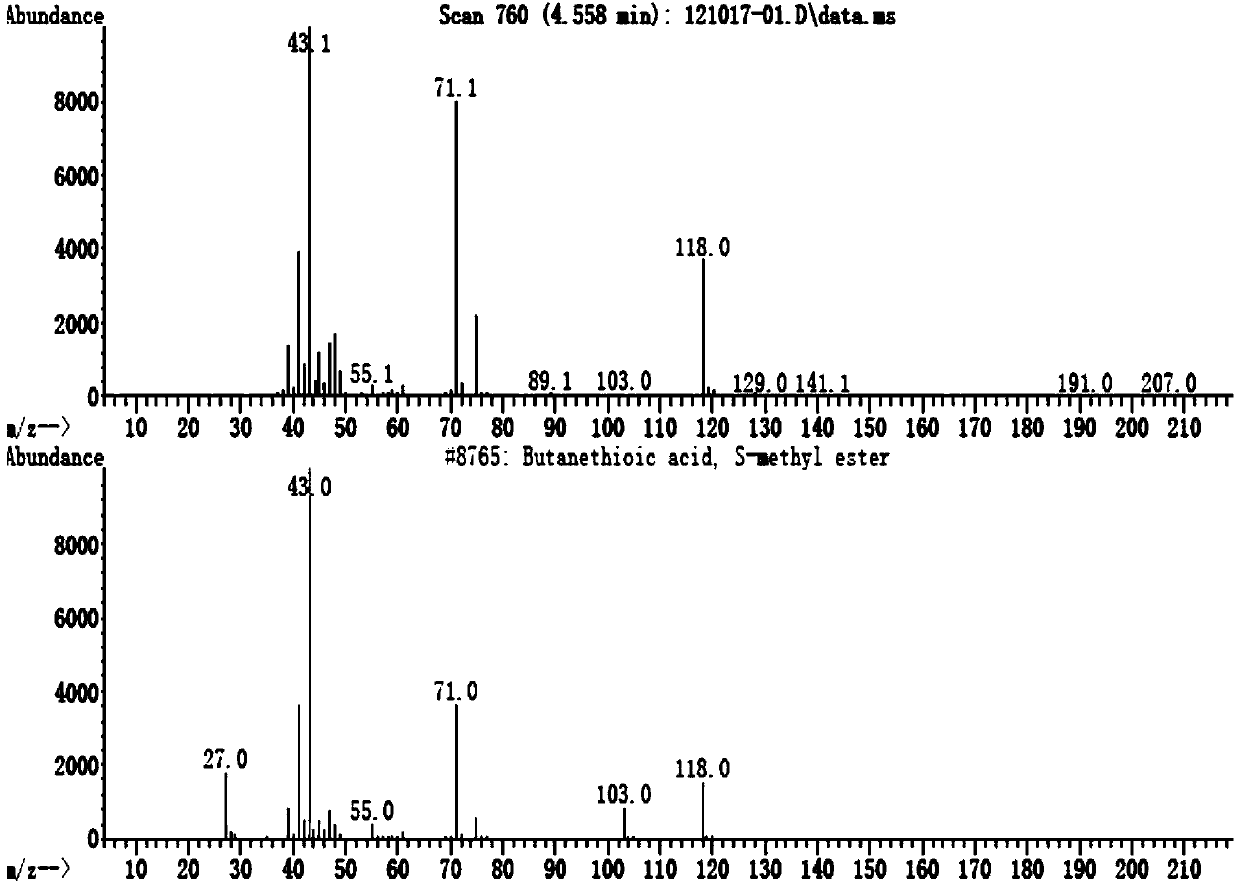 Volatile compound methyl thiobutyrate and application thereof