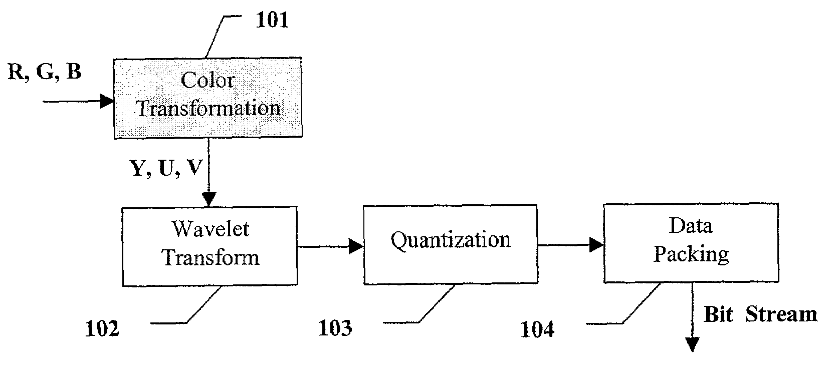 Apparatus and method for image/video compression using discrete wavelet transform