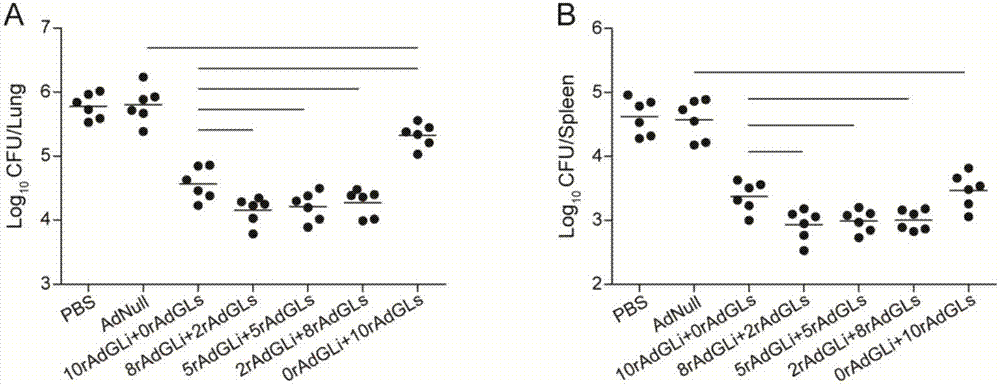 A kind of tuberculosis gene drug and preparation method thereof