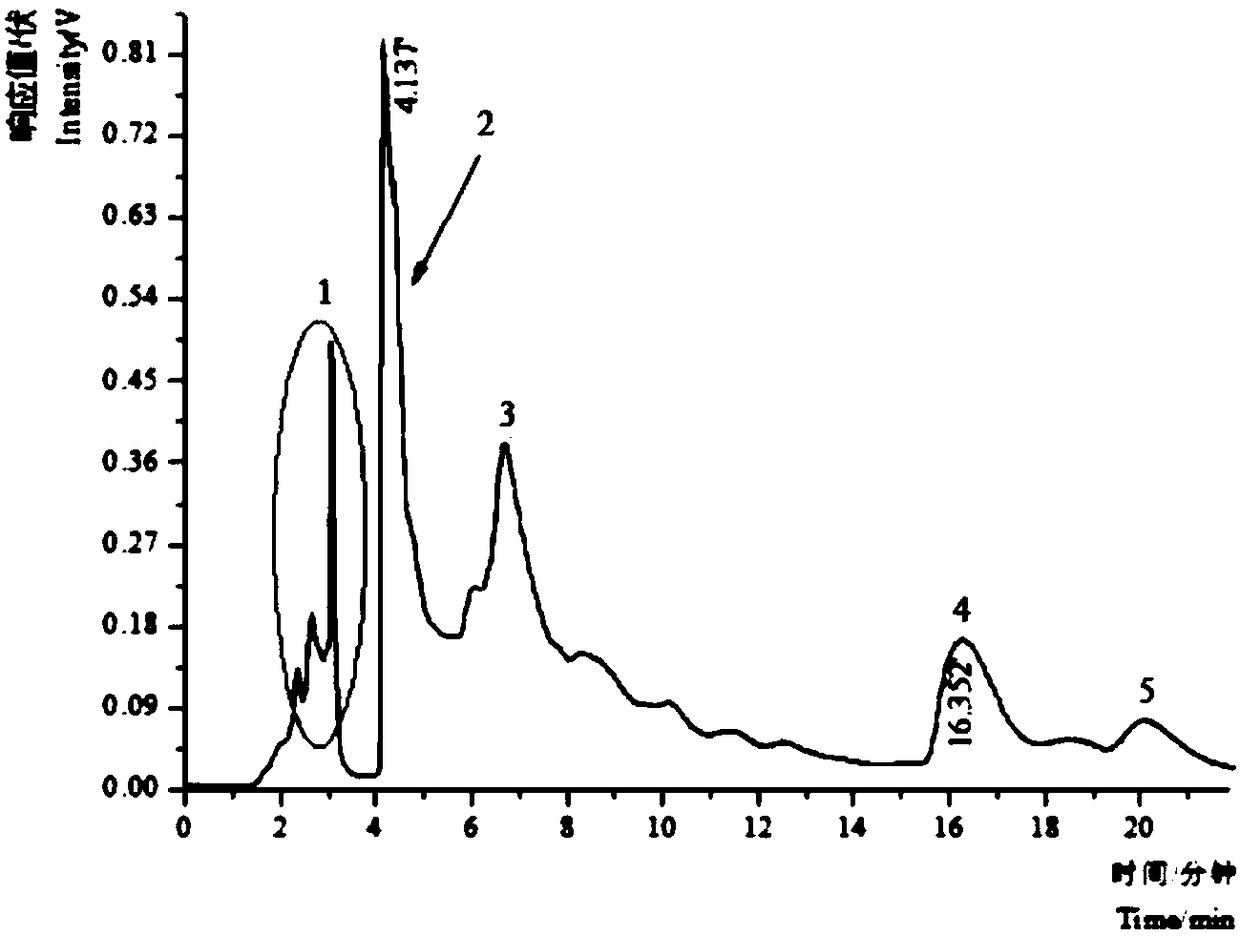 Method for extracting kaempferol galactose compound from camellia semiserrata Chi