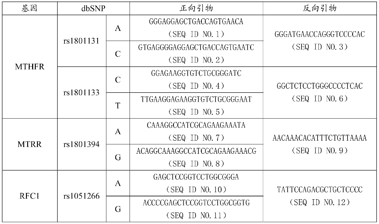 MTHFR, MTRR and RFC1 gene polymorphism detection primer combination and kit and application of MTHFR, MTRR and RFC1 gene polymorphism detection kit