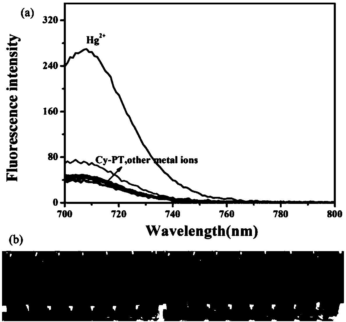 Hemicyanine-based reactive Hg&lt;2+&gt; fluorescent probe Cy-PT and preparation method and application thereof