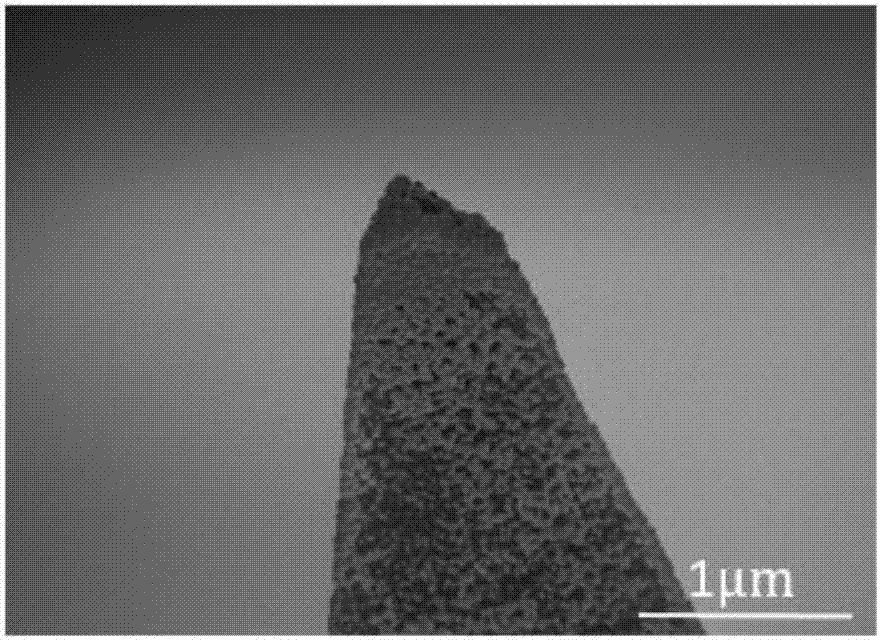 Method for generating metal coatings in controllable regions of surface of probe of atomic force microscope