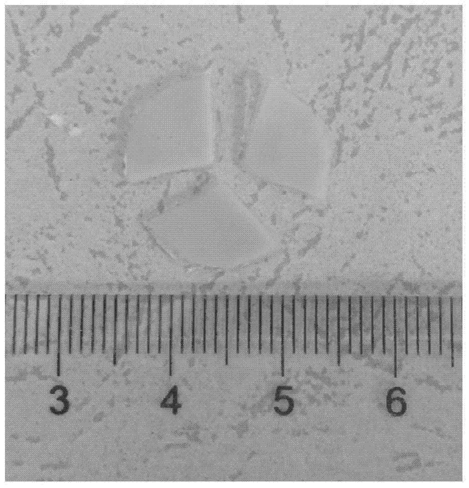 A method for preparing polyethylene glycol-protein fiber composite artificial heart valve