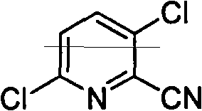 Method for preparing 2-cyano-3, 6-dichloropyridine
