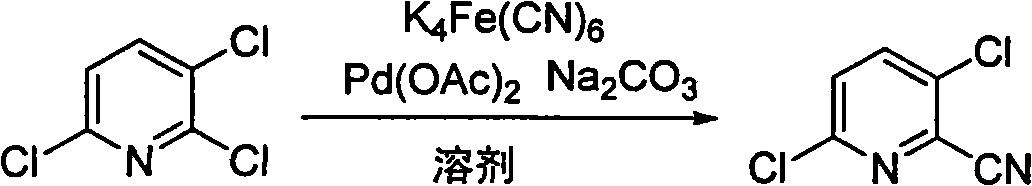 Method for preparing 2-cyano-3, 6-dichloropyridine