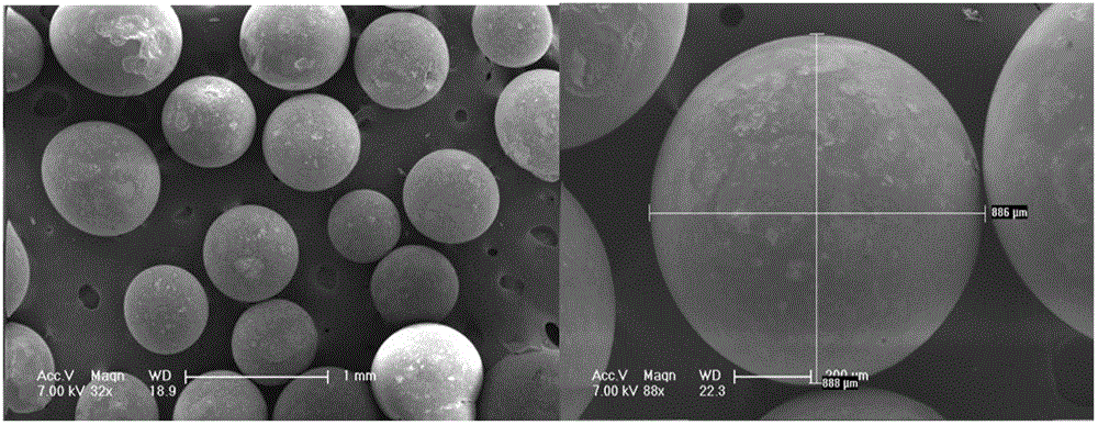 Flavone magnetic molecularly imprinted polymer, preparation of flavone magnetic molecularly imprinted polymer, and application of flavone magnetic molecularly imprinted polymer to bamboo-leaf flavone separation