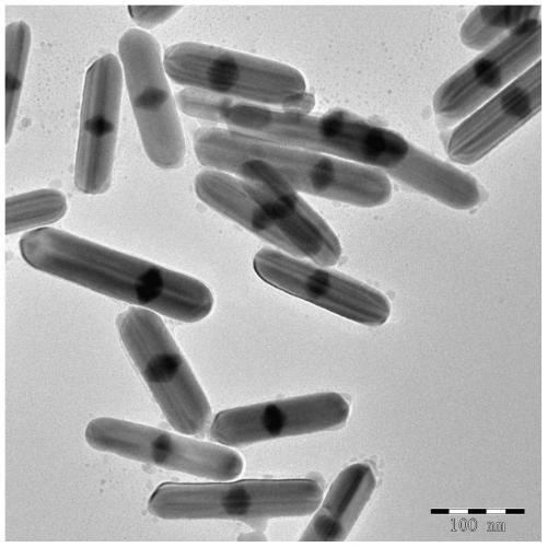 Heterojunction nano-material electrocatalyst, and applications thereof in CO2 reduction