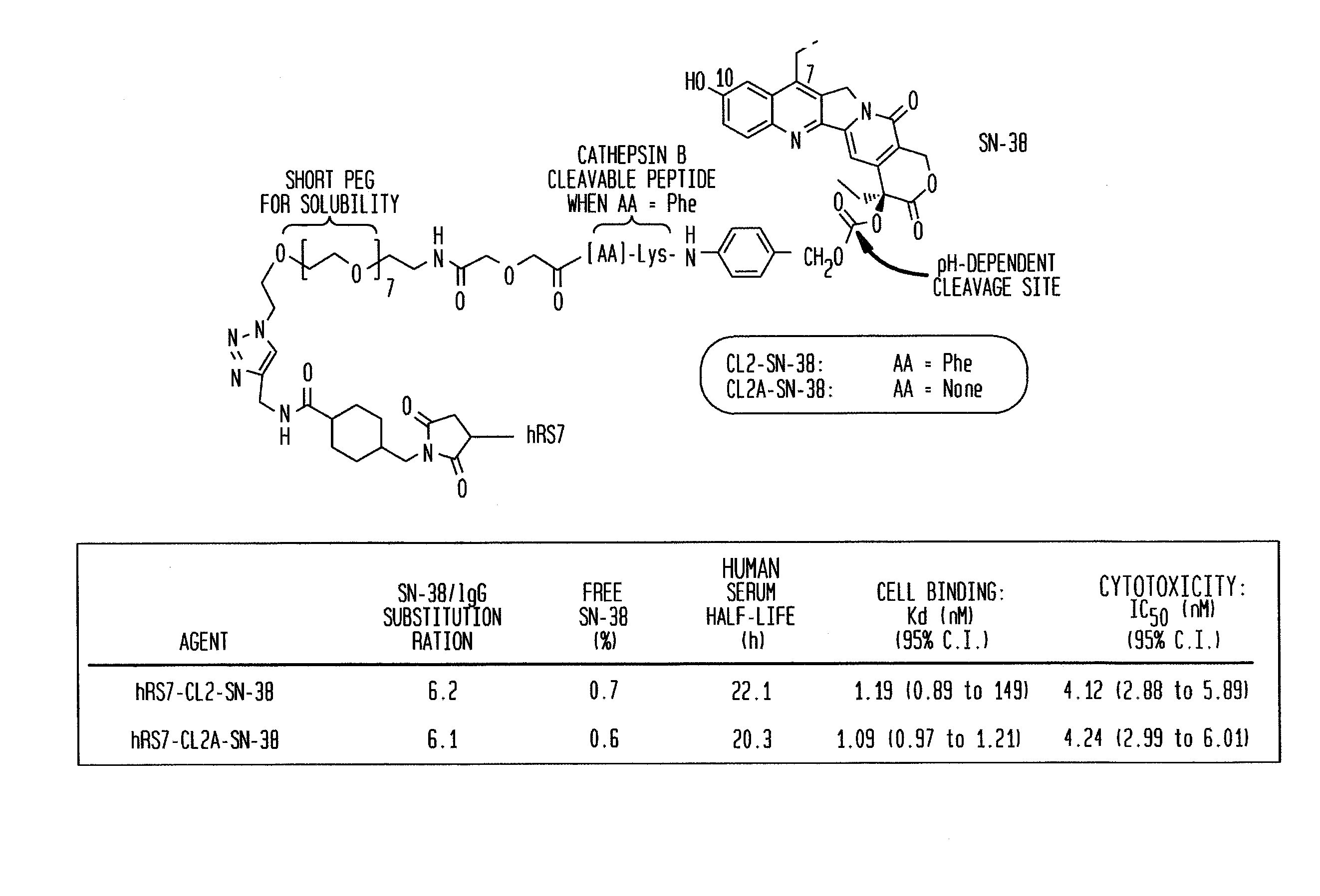 Antibody-drug conjugates and uses thereof