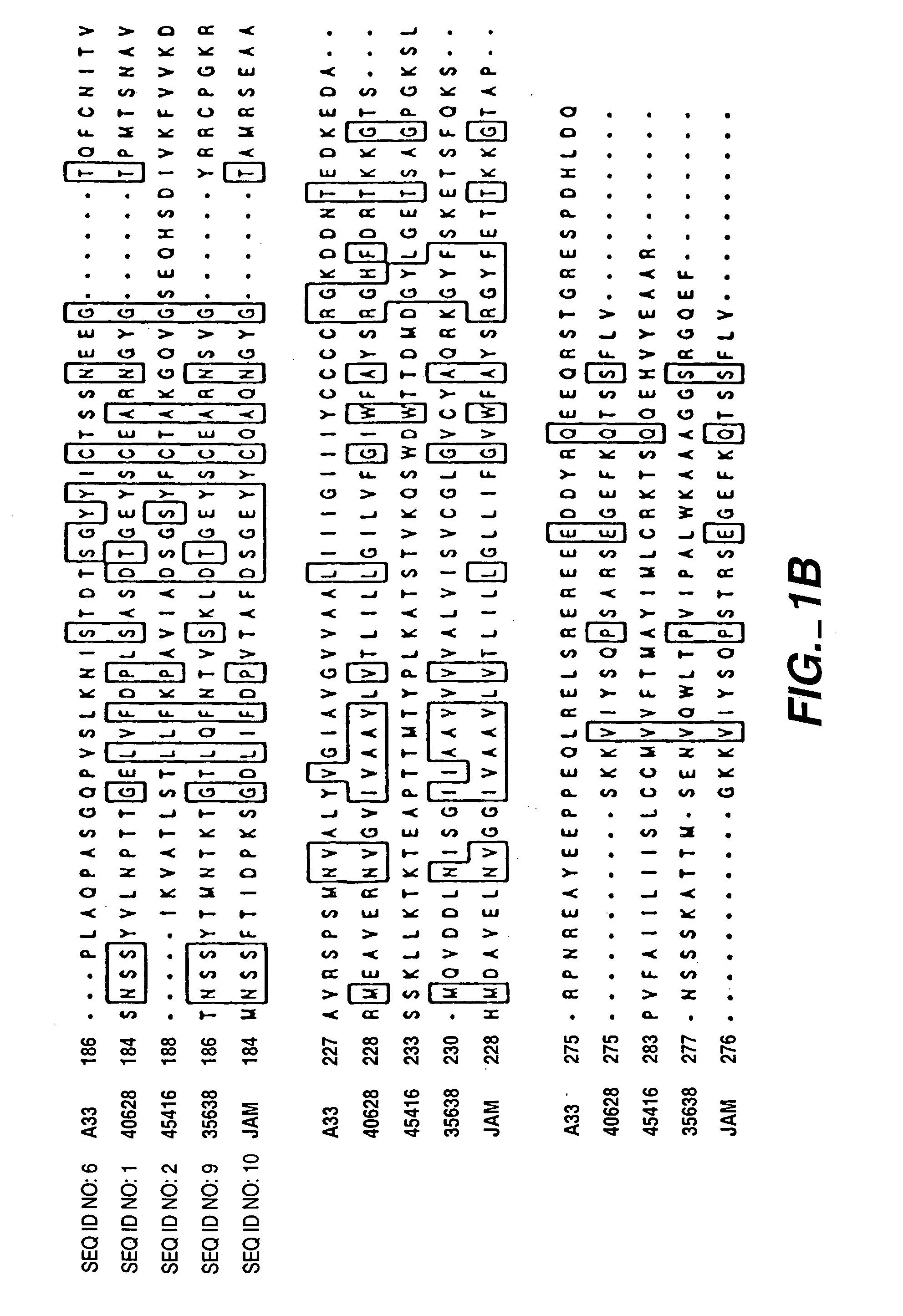 Compounds, compositions and methods for the treatment of diseases characterized by A-33 related antigens