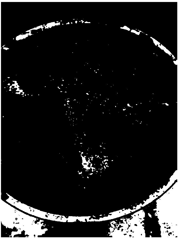 Externally-applied composition with skin care effect and preparation method thereof