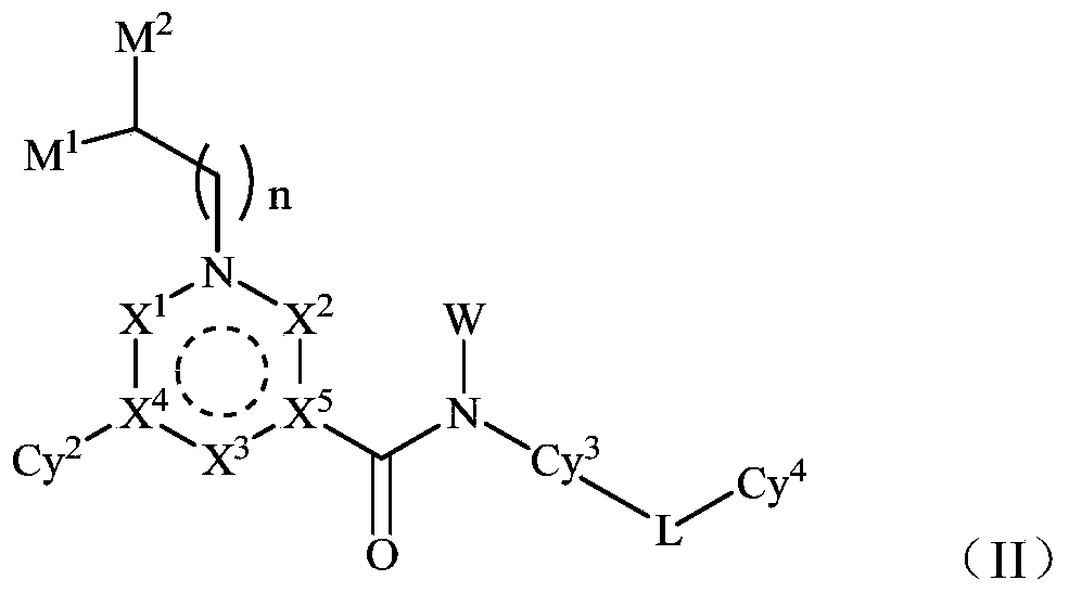 Novel quinoline derivative inhibitor