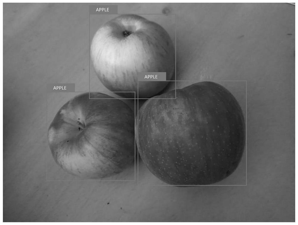 Apple grading identification method based on deep learning