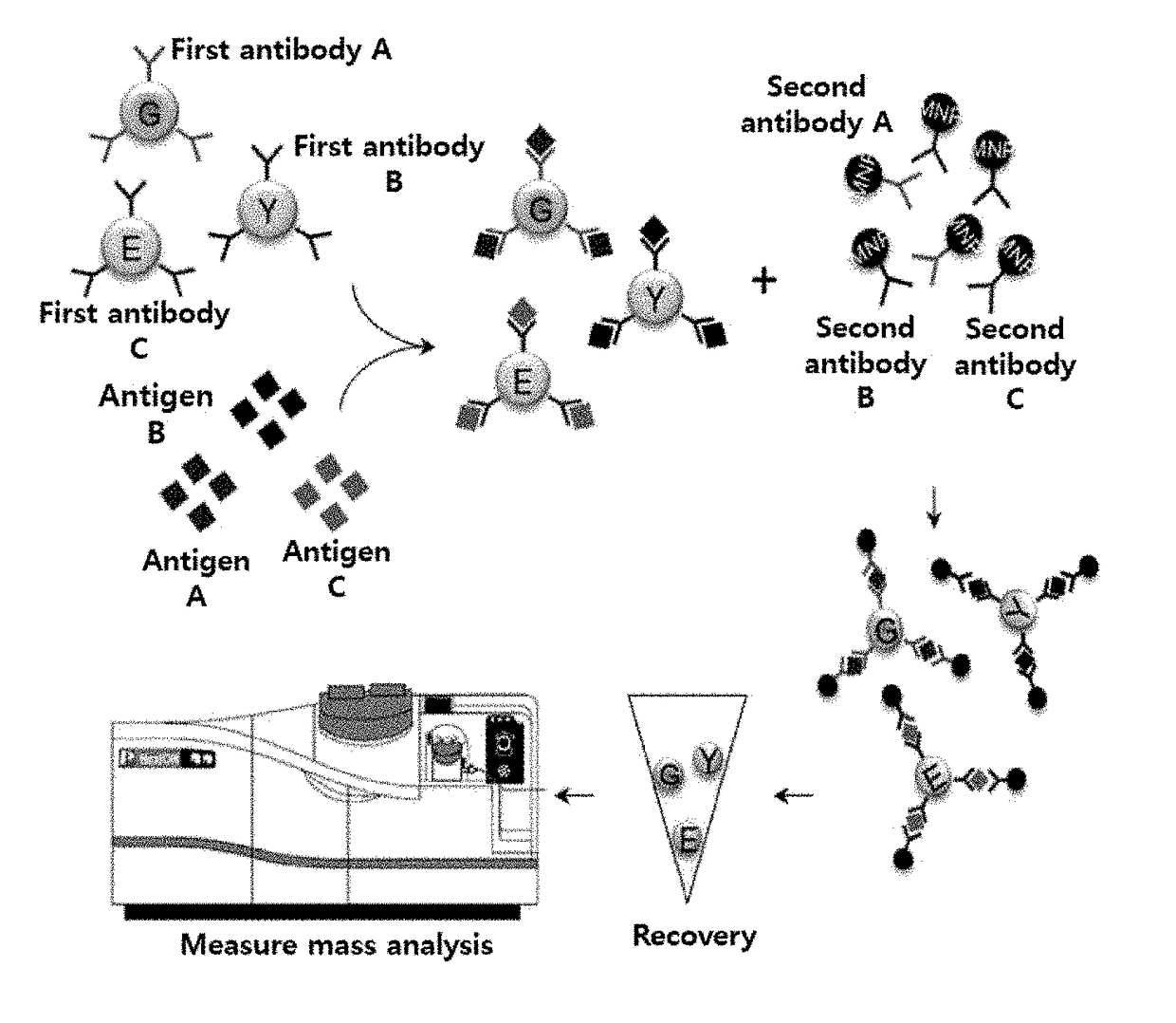 Simultaneous analysis method for multiple targets using multiple metal nano-tags