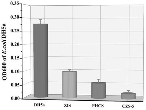 Nitrogen-doped PHCS-Zn2In2S5 composite photocatalyst as well as preparation method and application thereof