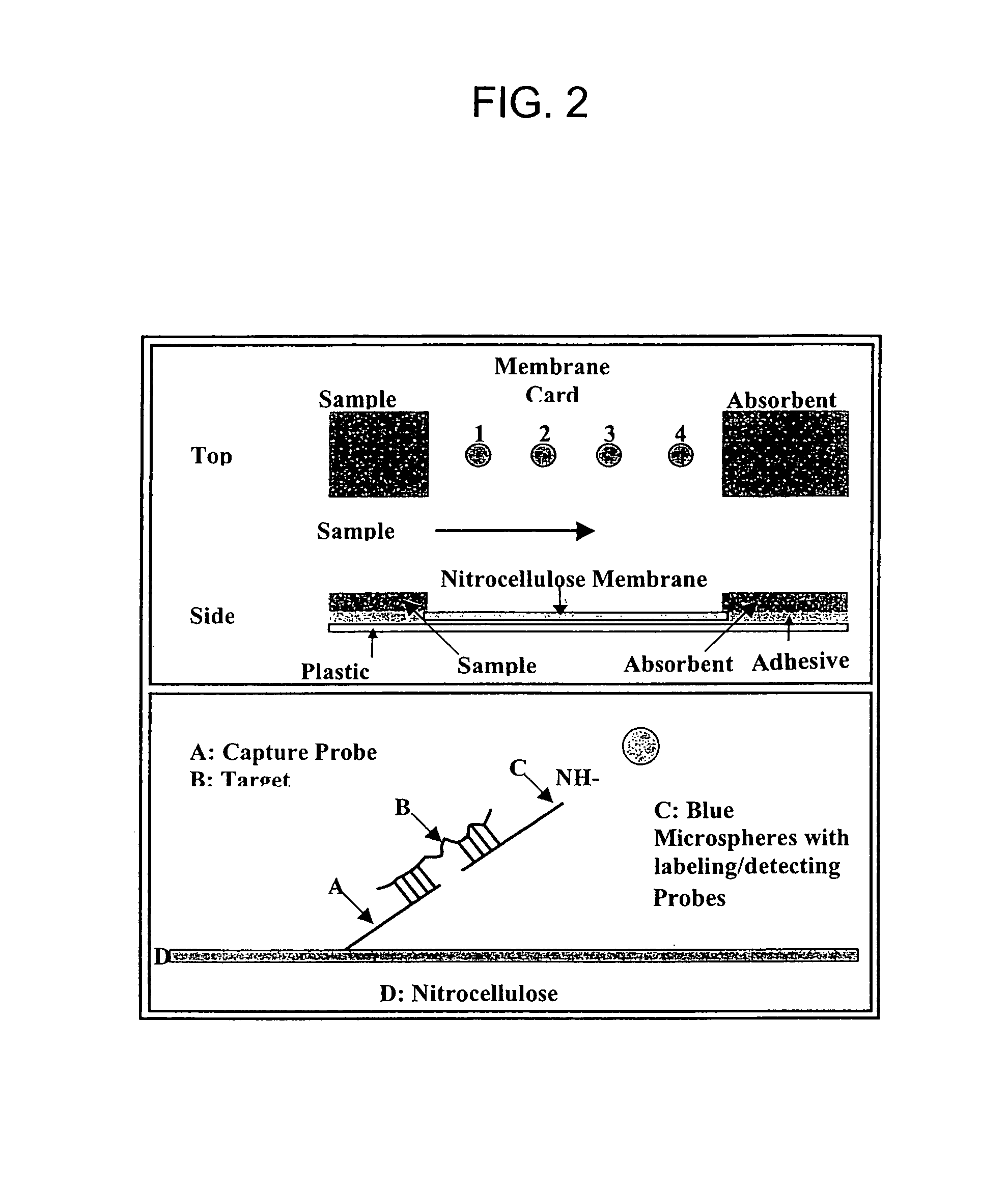 Nucleic acid detection system and method for detecting influenza
