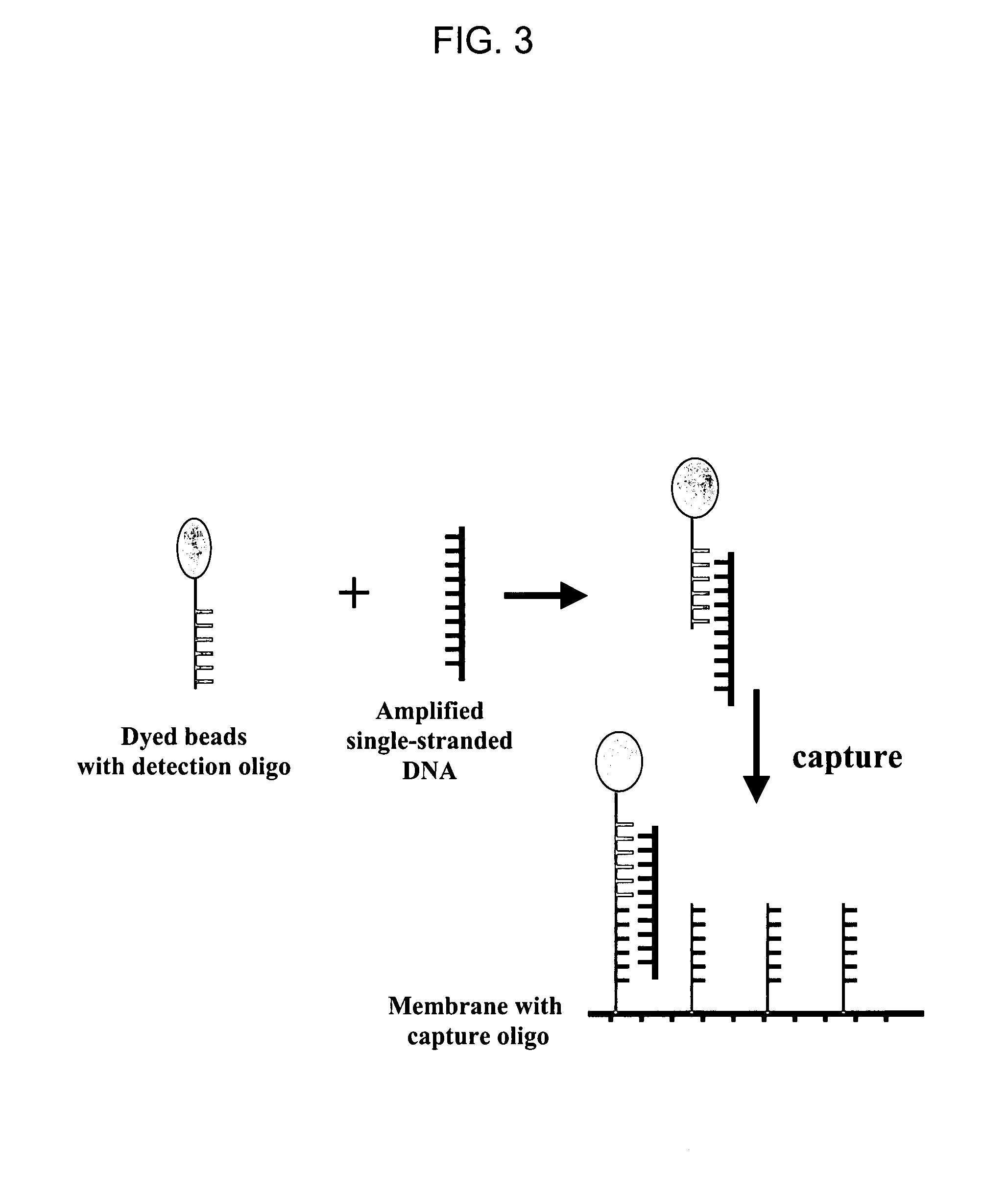 Nucleic acid detection system and method for detecting influenza