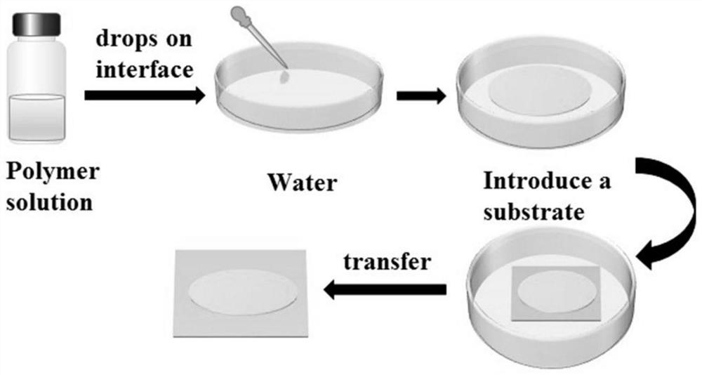 A Method for Assembling Ultrathin Ordered Conductive Polymer Films at the Liquid/Air Interface