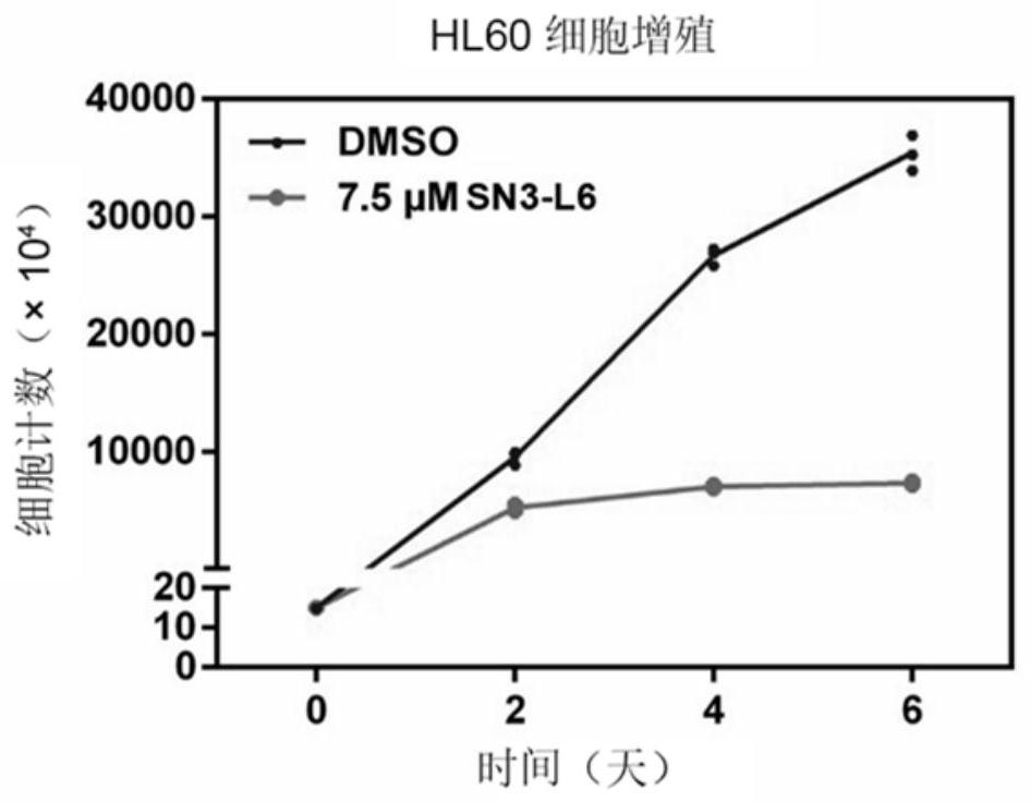 Application of securinine linked dimeric compound SN3-L6 or pharmaceutical salt thereof in preparation of anti-leukemia drugs