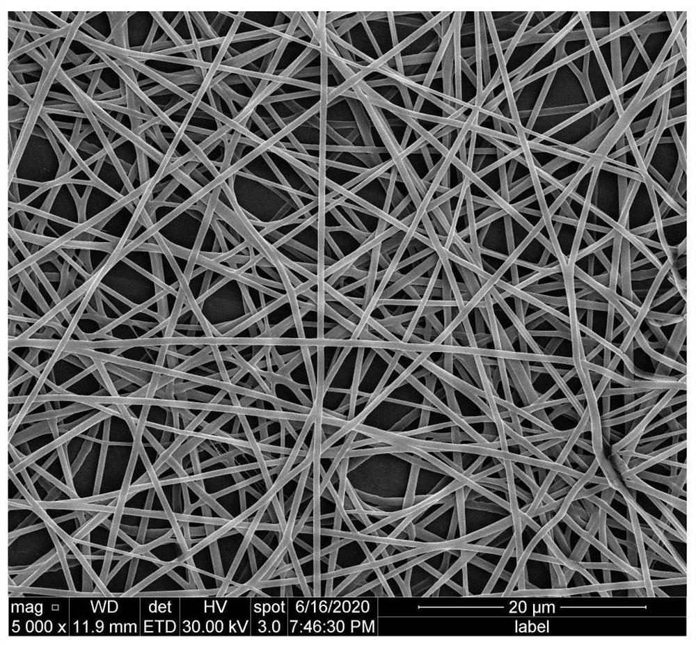 Porous sodium alginate nanofiber scaffold material and preparation method thereof