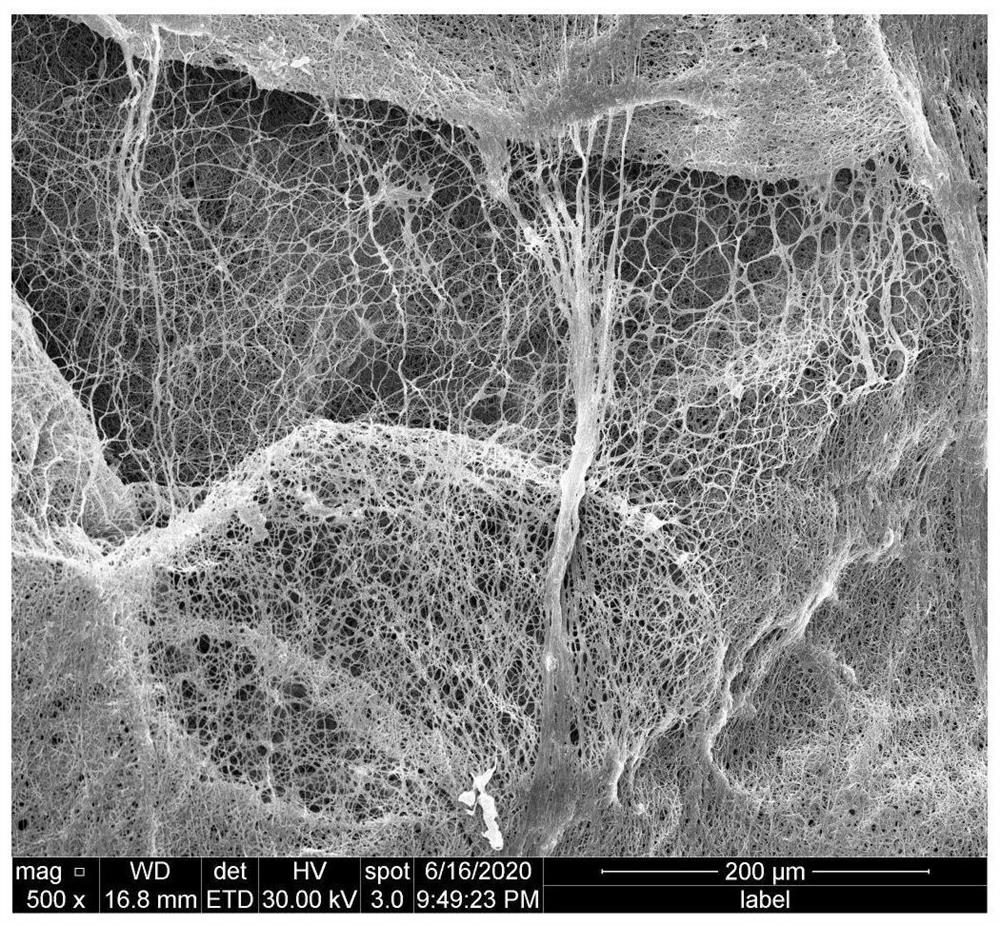 Porous sodium alginate nanofiber scaffold material and preparation method thereof