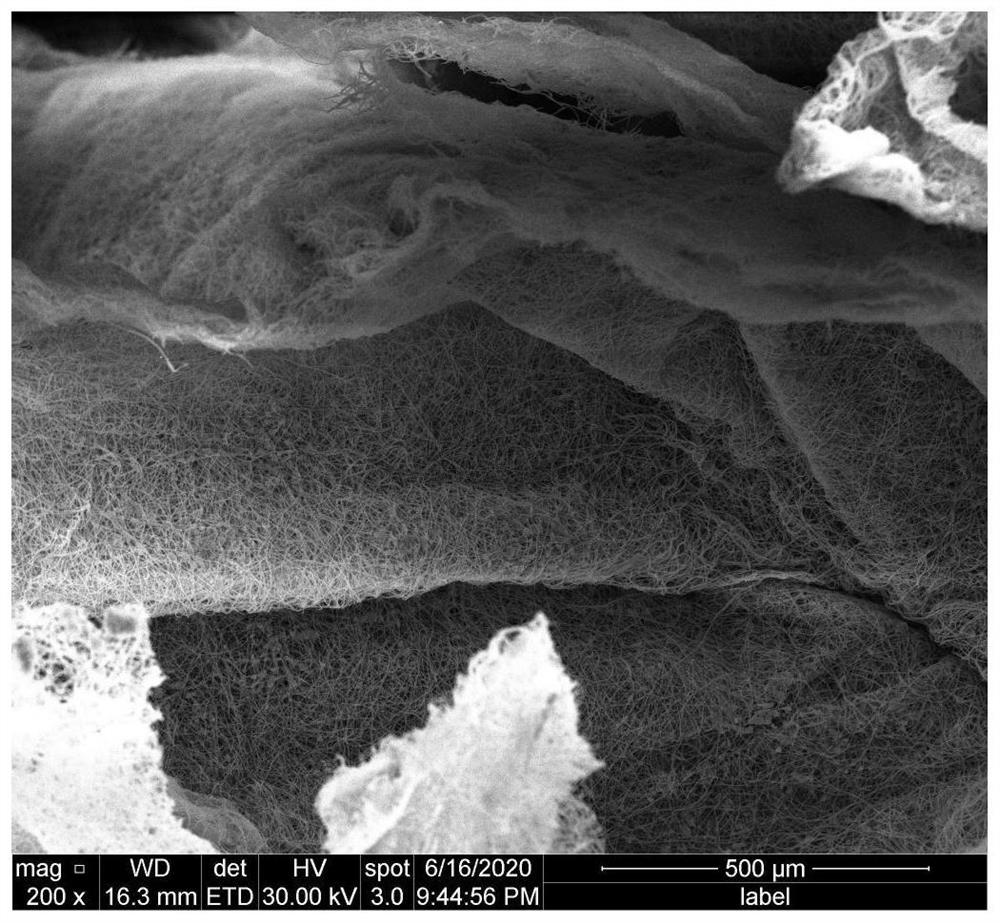 Porous sodium alginate nanofiber scaffold material and preparation method thereof