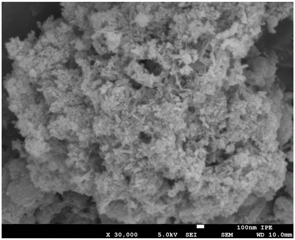 A kind of coal tar heavy oil hydrogenation catalyst and preparation method thereof