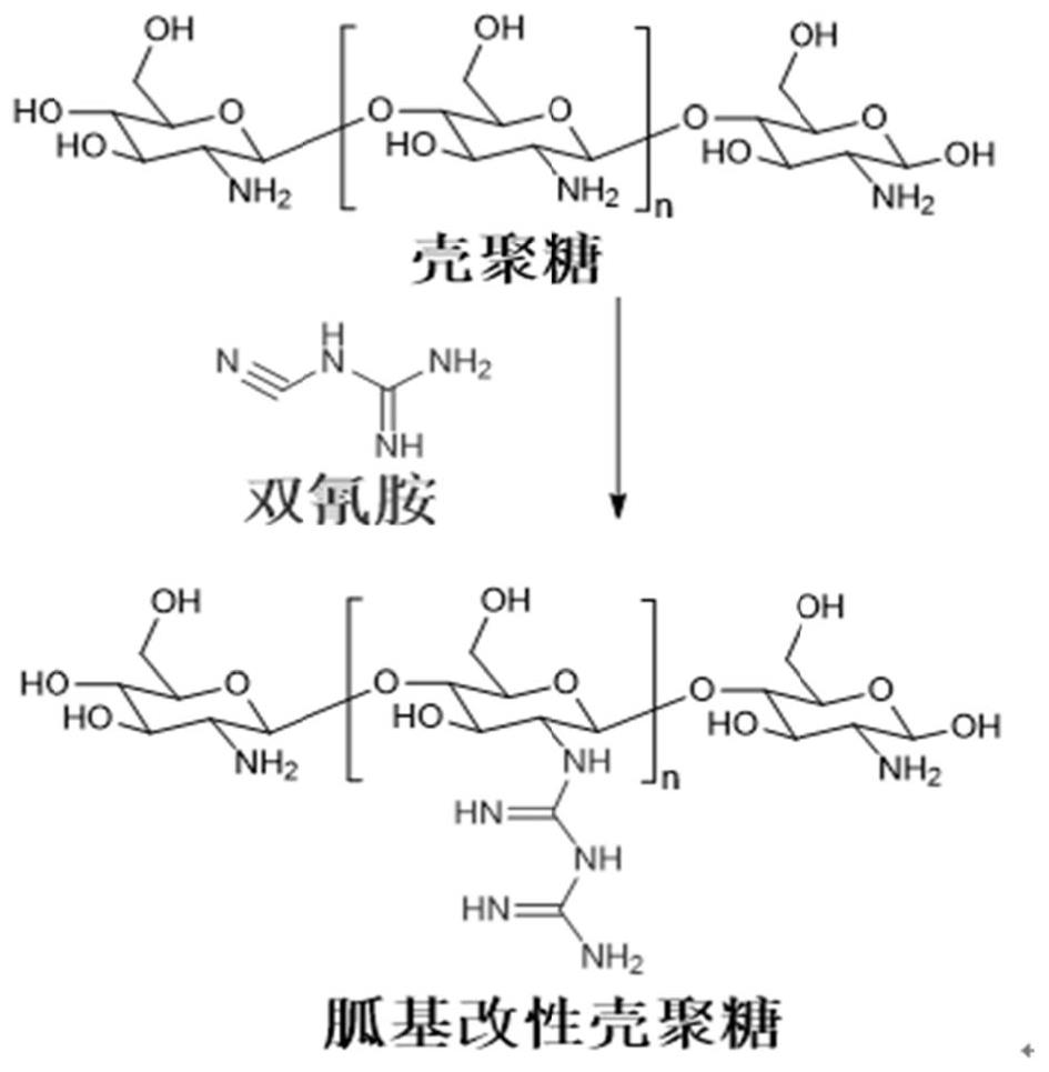 Nanometer delivery system and preparation method and application thereof