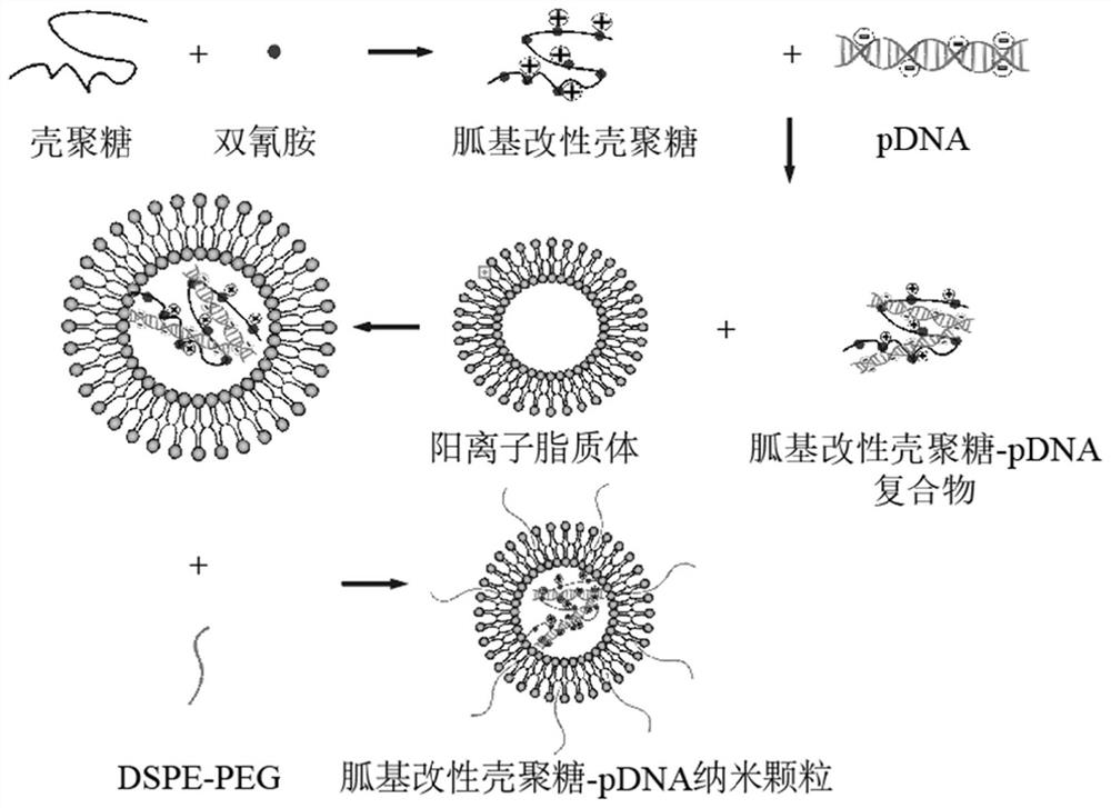 Nanometer delivery system and preparation method and application thereof