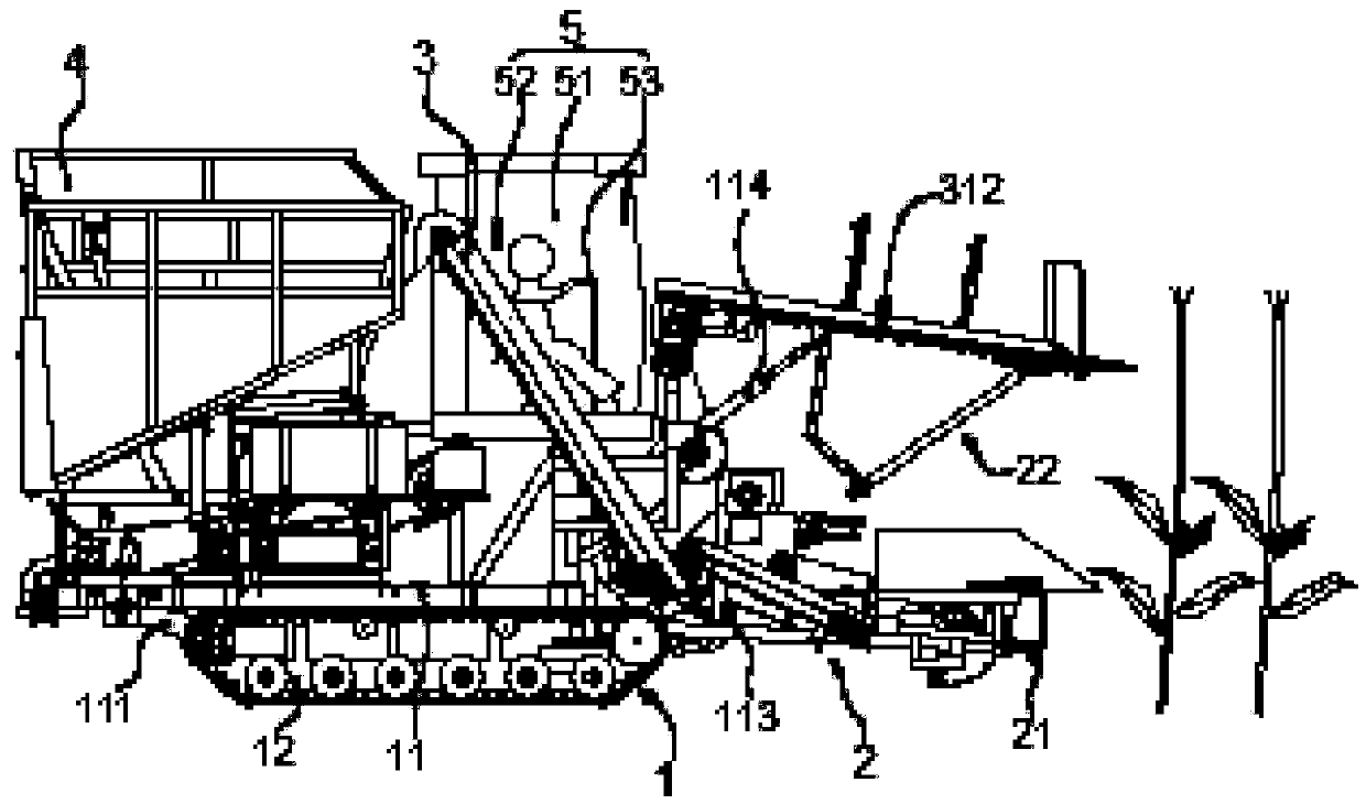 Stem and spike harvesting fresh maize harvester