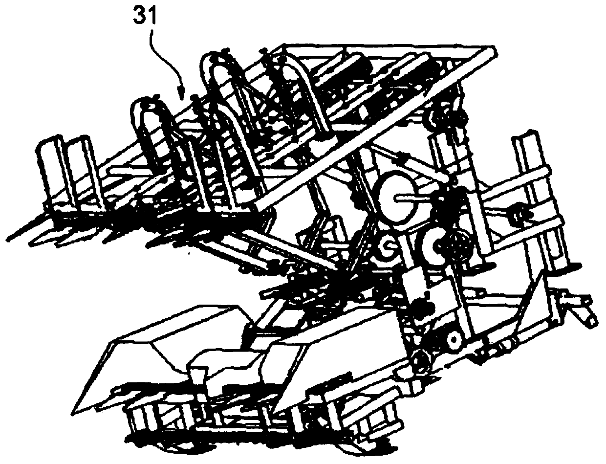 Stem and spike harvesting fresh maize harvester