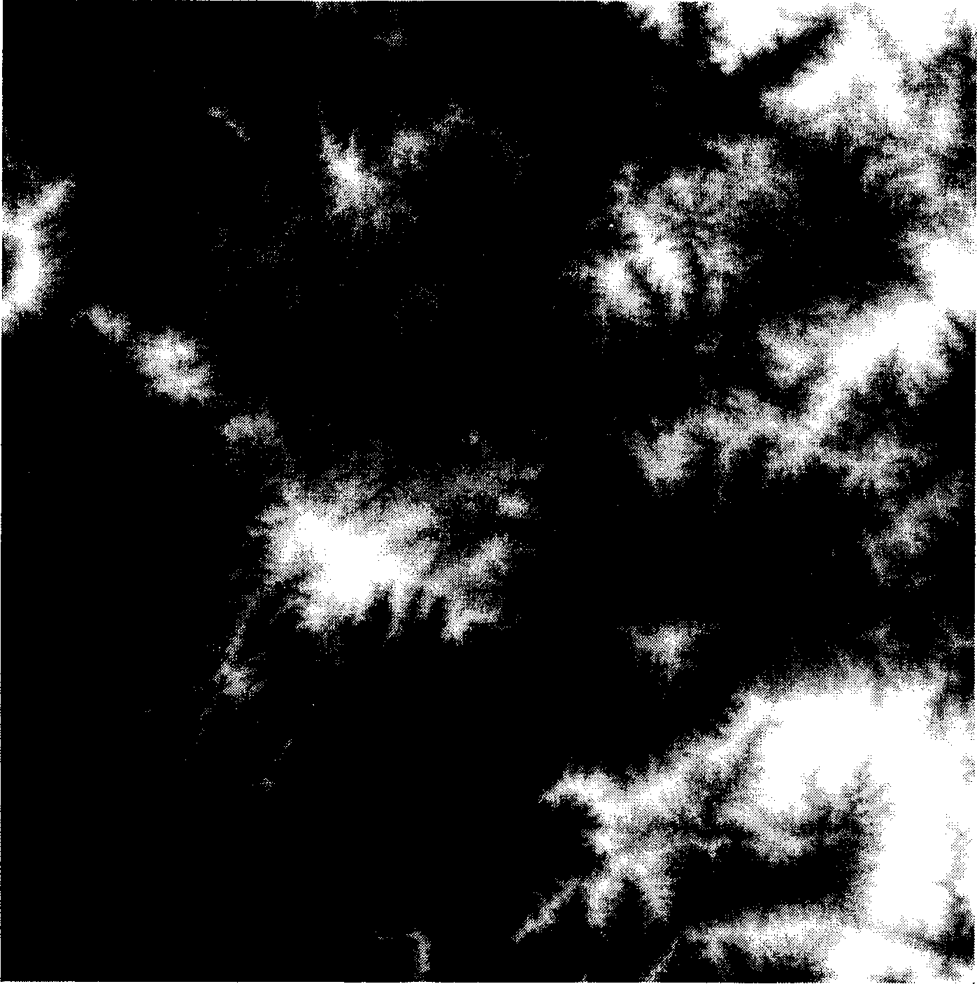 Computerized generation method for sunlight normalized distribution image on rough ground