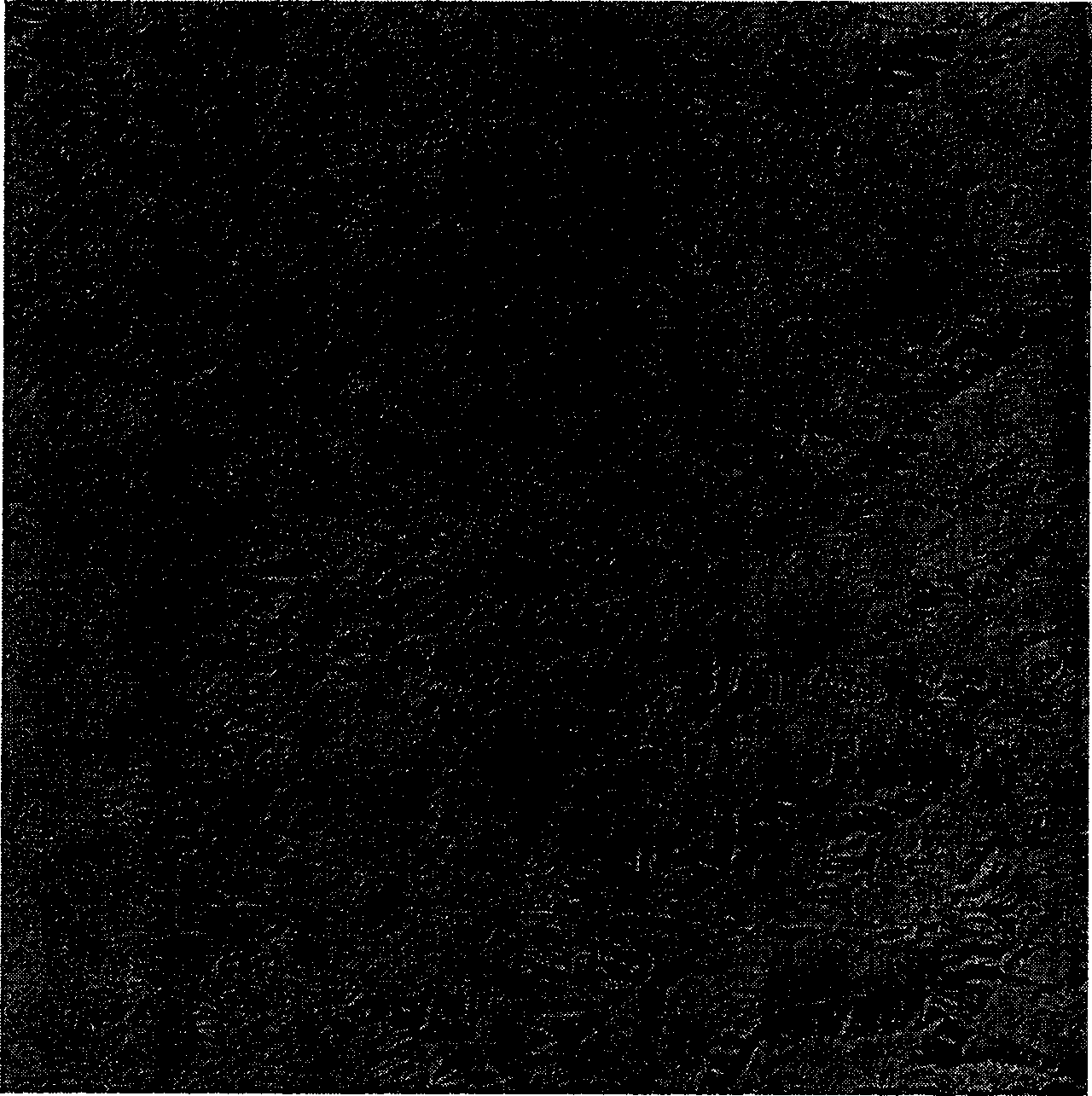 Computerized generation method for sunlight normalized distribution image on rough ground