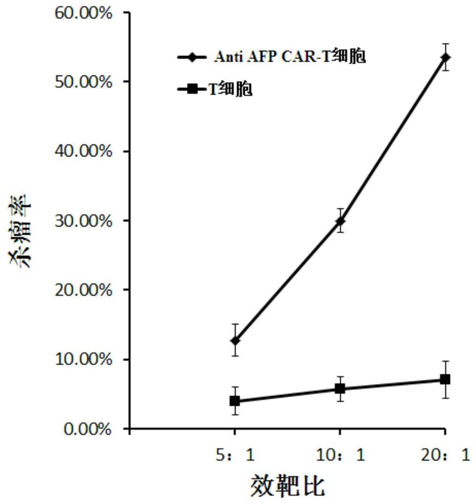 Anti AFP CAR-T cell and its preparation method and application