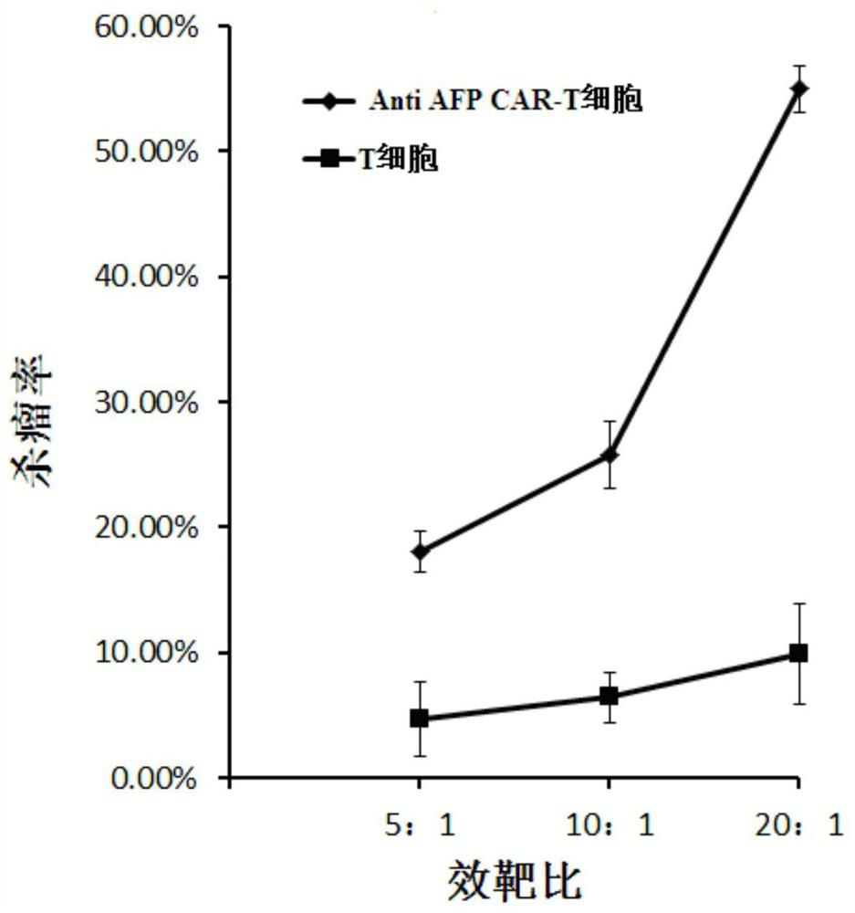 Anti AFP CAR-T cell and its preparation method and application