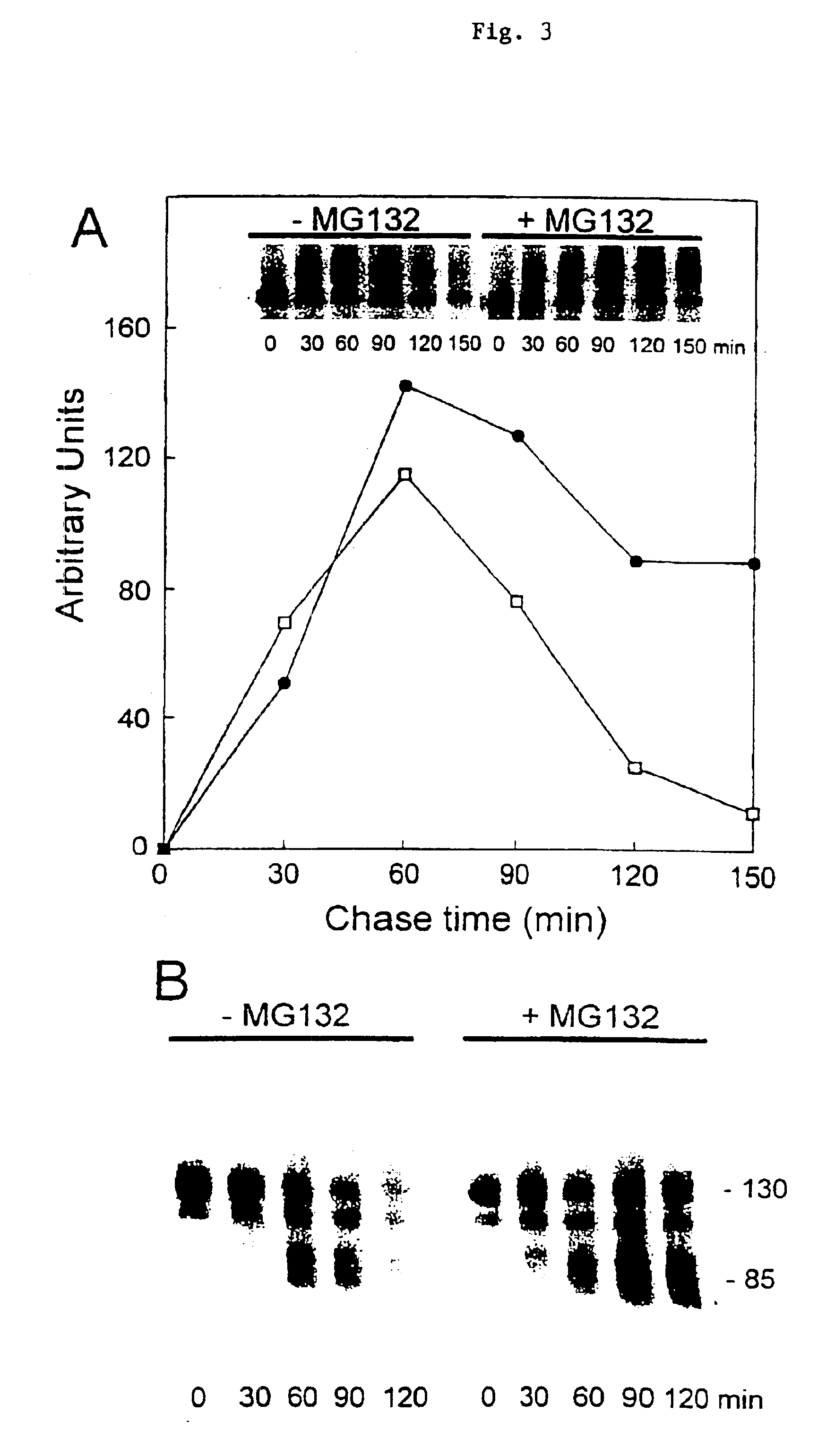 Controlling availability or activity of proteins by use of protease inhibitors or receptor fragments