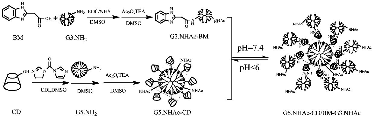 Preparation method of pH-responsive core-shell structure dendrimer drug carrier