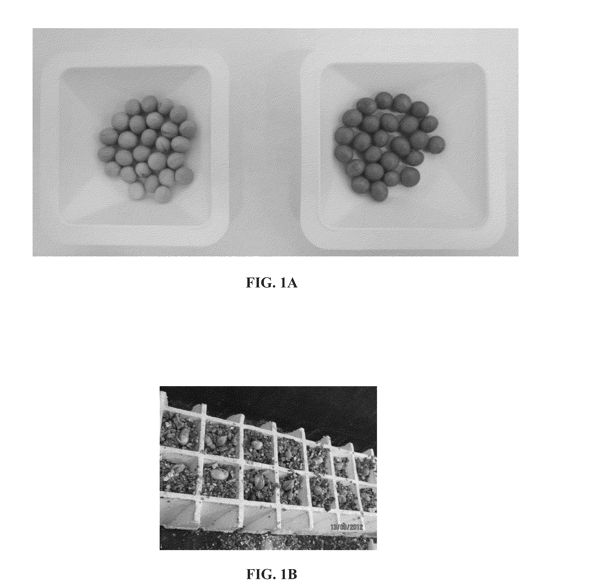 Methods and compositions for the delivery of nucleic acids to seeds
