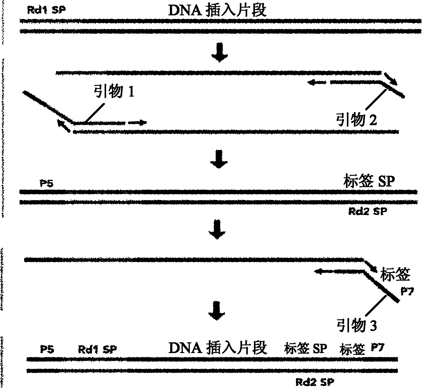 Multi-sample mixed sequencing method and kit