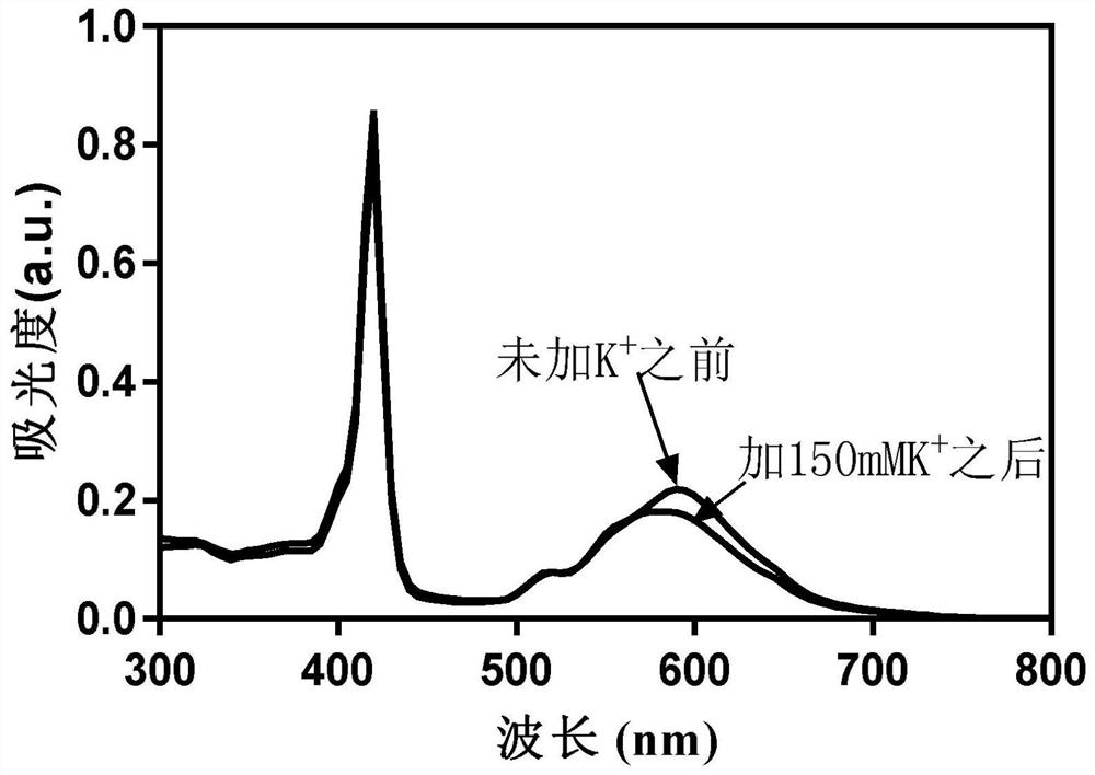 A kind of polymer potassium ion fluorescent probe and its preparation method and application