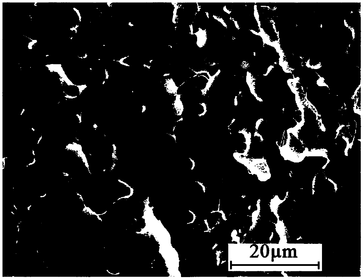 Aliphatic series-polylactic acid segmented copolymer and preparation method thereof