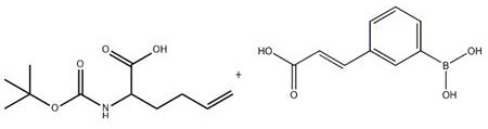 Refining method of tetra (dimethylamino) hafnium