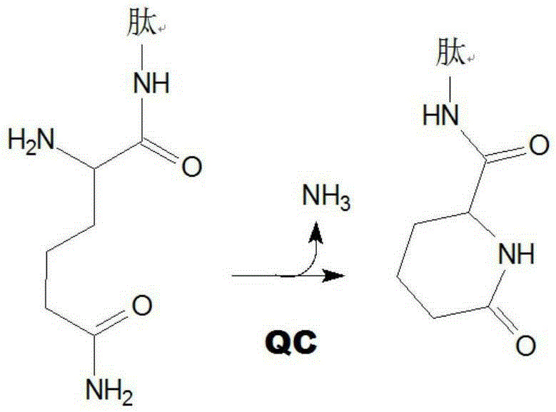 Novel inhibitors