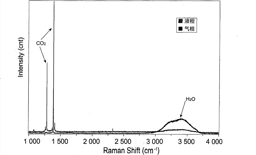 Method for determining vapor-liquid ratio of fluid inclusion based on laser Raman Mapping