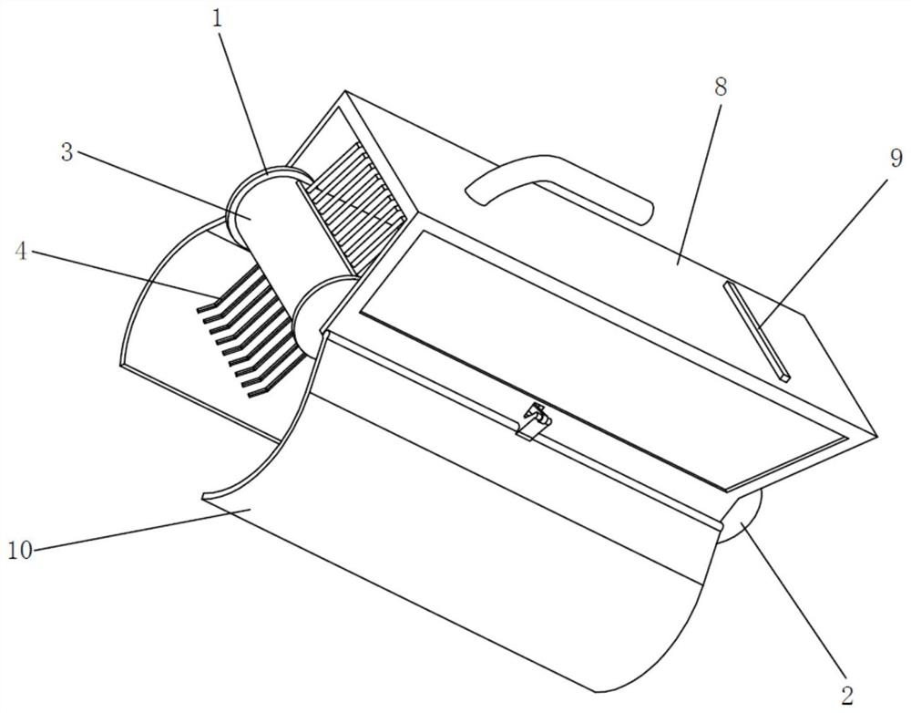 Camellia seed picking device