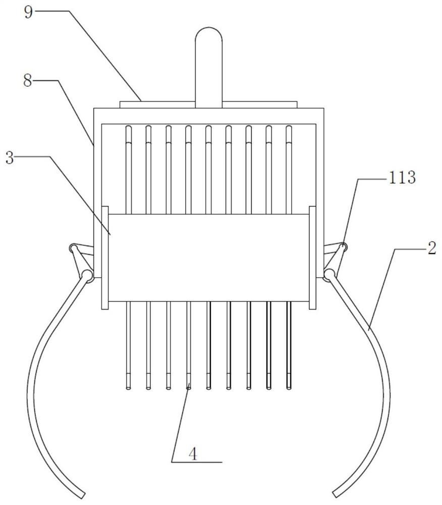 Camellia seed picking device