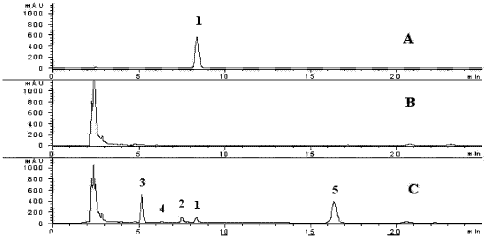 Application of endophytic fungus in transforming andrographolide diterpenoids