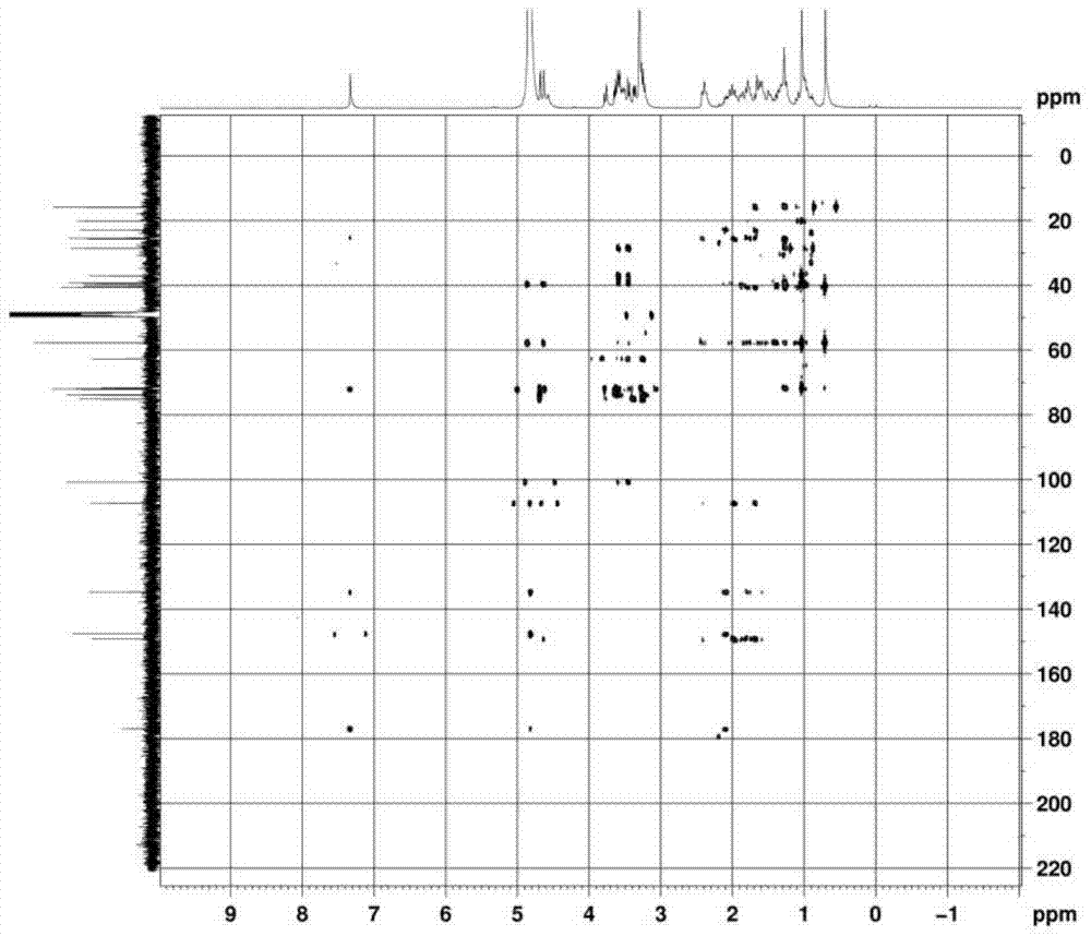 Application of endophytic fungus in transforming andrographolide diterpenoids