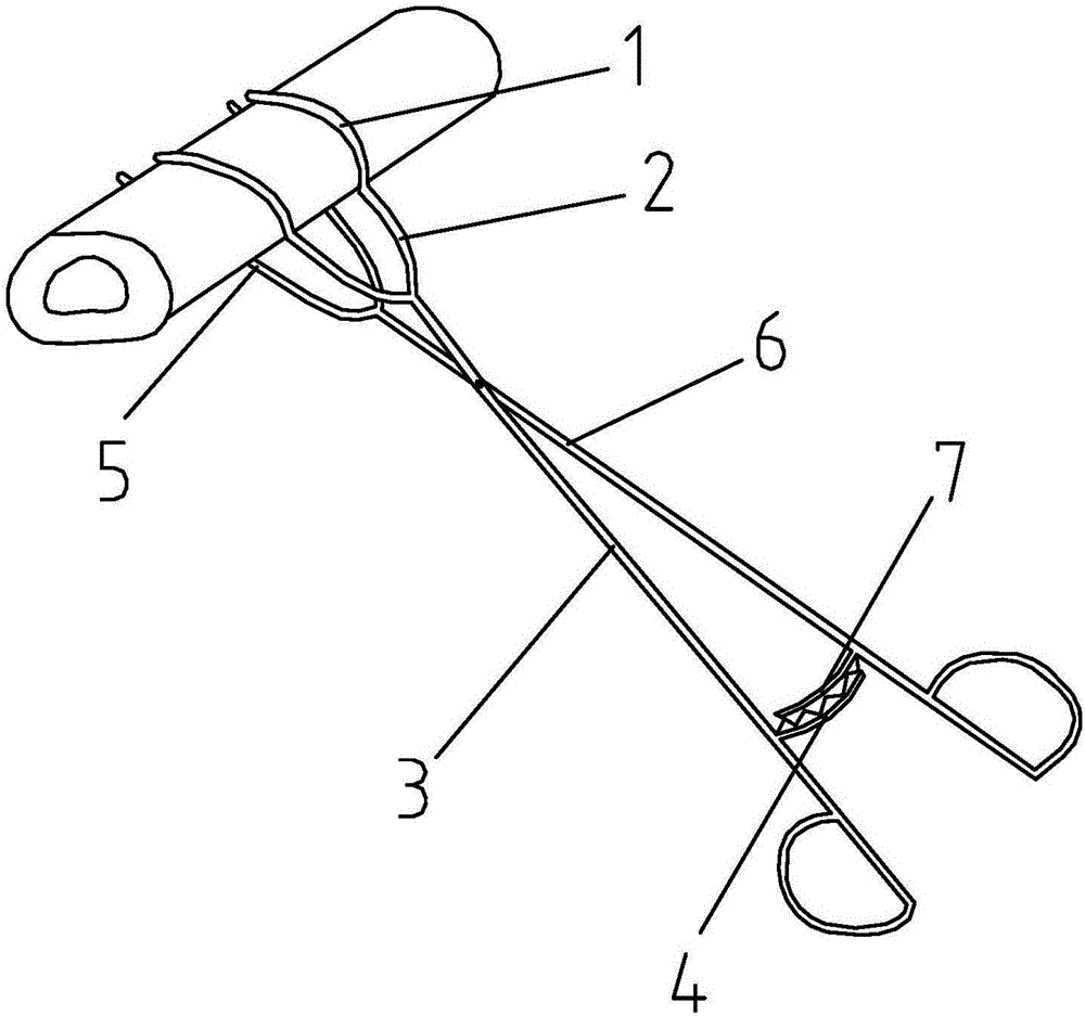 Hand and foot surgical bone fracture double-leaf reduction forceps